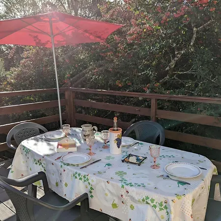 Avec Terrasse Privee - 6 Pers. - Fr-1-653-293 * Barbezieux-Saint-Hilaire